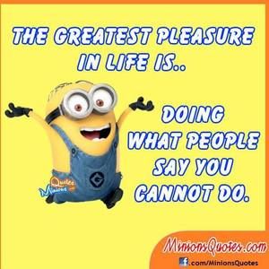 Meet your Posher, Anne